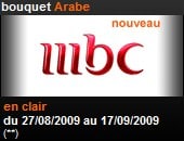 Bouquet arabe en clair