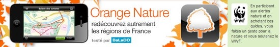 Orange Nature