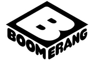 Boomerang nouveau logo 2015