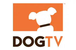 dog-tv