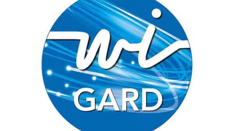 Logo wigard rip du gard