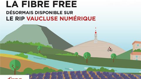 Les offres Free sur le rip vaucluse numérique