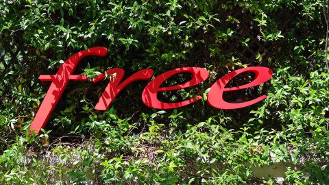 logo free rouge entouré de feuilles vertes