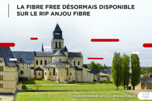 Free Anjou Fibre