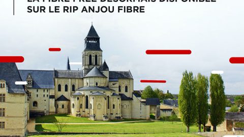 Free Anjou Fibre