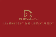 logo de la chaîne cheval tv