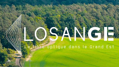 Losange fibre