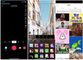 tiktok gifs fond vert