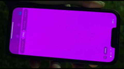 iPhone 13 écran rose