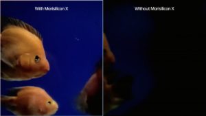 Oppo find X5 pro MariSilicon X