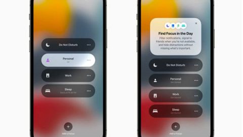 apple mode concentration