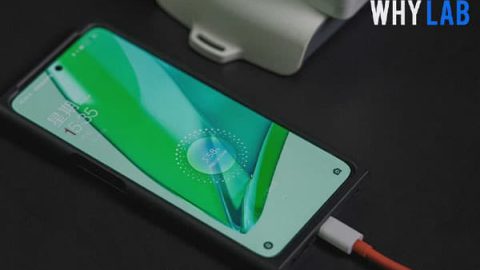 oneplus ace