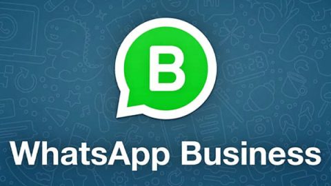 whatsapp business