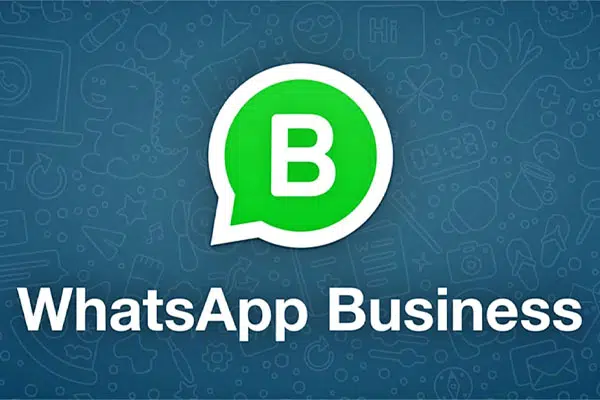 whatsapp business