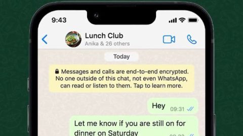 whatsapp reactions