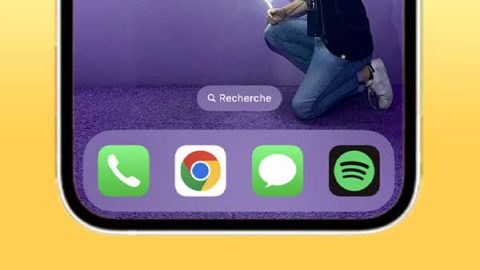 iOS 16 bouton recherche