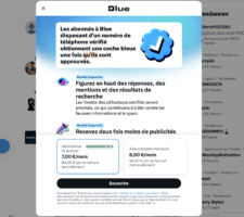 twitter blue abonnement