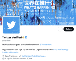 twitter verified icone