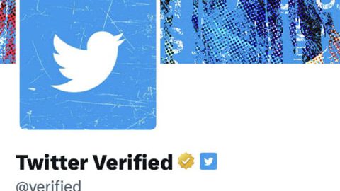 twitter verified organisations
