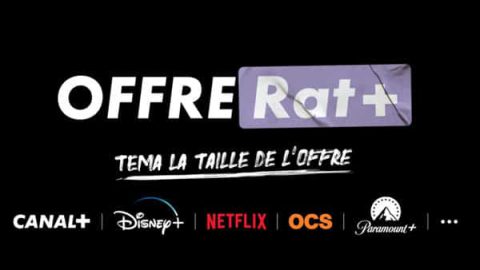 canal rat+