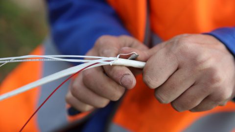 Fibre