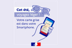 La carte grise sur France Identité