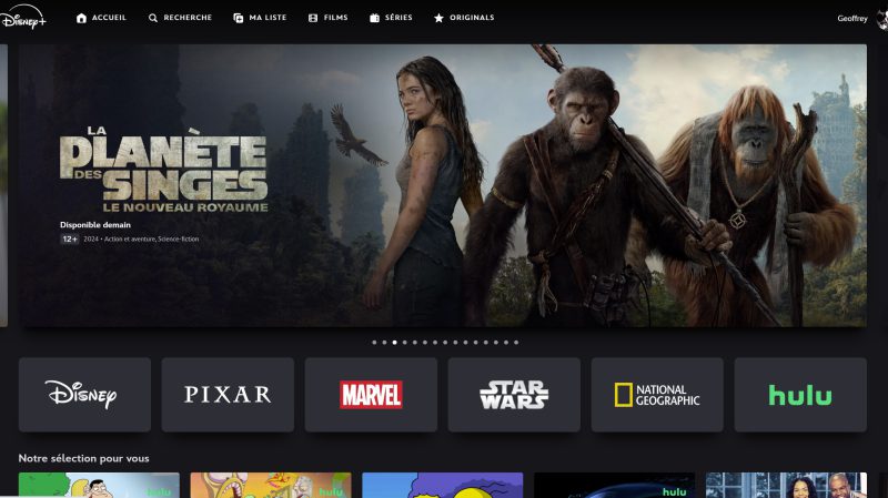 Hulu sur Disney+