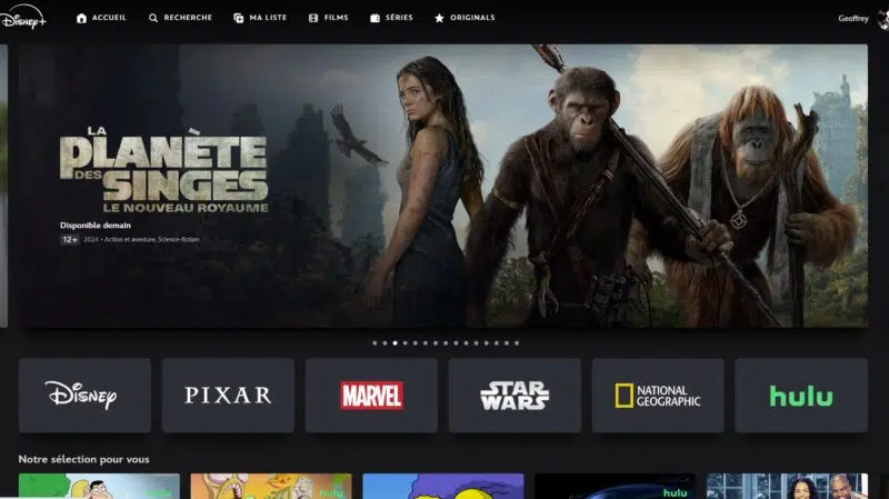 Hulu sur Disney+