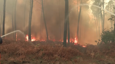 incendies